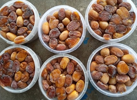 تصویر 1 از قیمت رطب کبکاب خشت + نوبرانه درجه یک